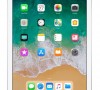 Ремонт Apple iPad 2018